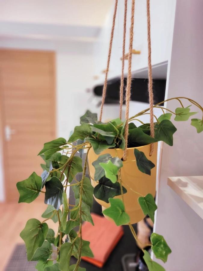 Appartement Cocooning Proche Mer Carqueiranne Eksteriør bilde